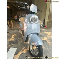 Xe Đạp Điện Dylexe Mima Dùng 4 Ắc Quy 20A