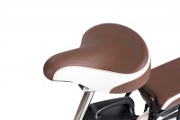 Xe Đạp Điện Giant L-830R
