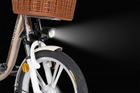 Xe Đạp Điện Giant L-830R