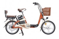 Xe Đạp Điện Giant L-830R