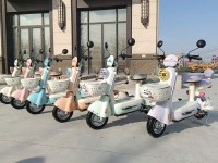 Xe Đạp Điện Mini Plers Đời Mới Chính Hãng