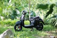 Xe Ga 50cc Giorno Mono