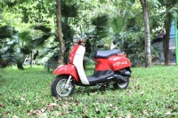 Xe Ga Scoopy 50cc Việt Thái