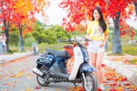 Xe Ga Scoopy 50cc Việt Thái