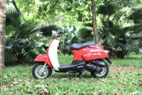 Xe Ga Scoopy 50cc Việt Thái