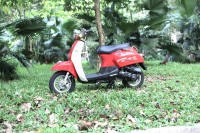 Xe Ga Scoopy 50cc Việt Thái