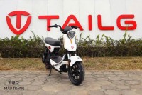 Xe Đạp Điện Tailg GX30 Xbull Chính Hãng (Đầy Đủ Giấy Tờ)