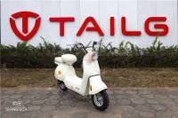 Xe Đạp Điện Tailg Princess JS50 (Đầy Đủ Giấy Tờ)
