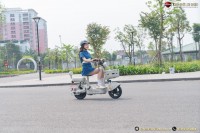 Xe Đạp Điện Tailg JY33 Mini Bike 4 ACQUY 13Ah