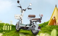 Xe Đạp Điện Tailg JY33 Mini Bike 4 ACQUY 13Ah