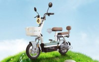 Xe Đạp Điện Tailg JY33 Mini Bike 4 ACQUY 13Ah