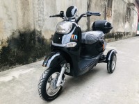 Xe Đạp Điện 3 Bánh Large 2021