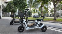 Xe Điện 3 Bánh Mini Có Số Lùi
