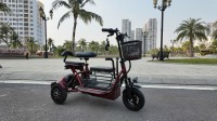 Xe Điện 3 Bánh Mini Có Số Lùi