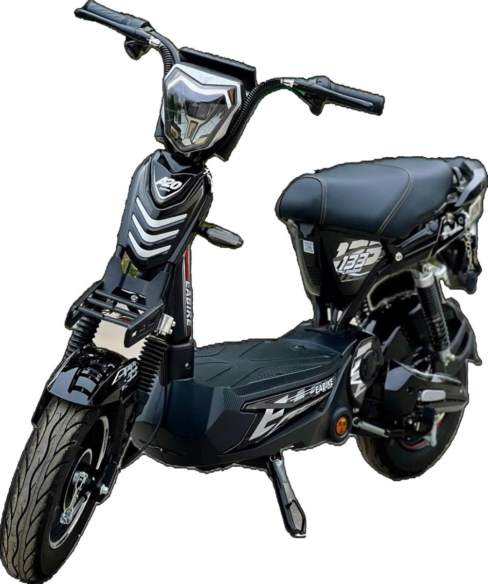 Xe Đạp Điện M133 EABIKE 20Ah Plus