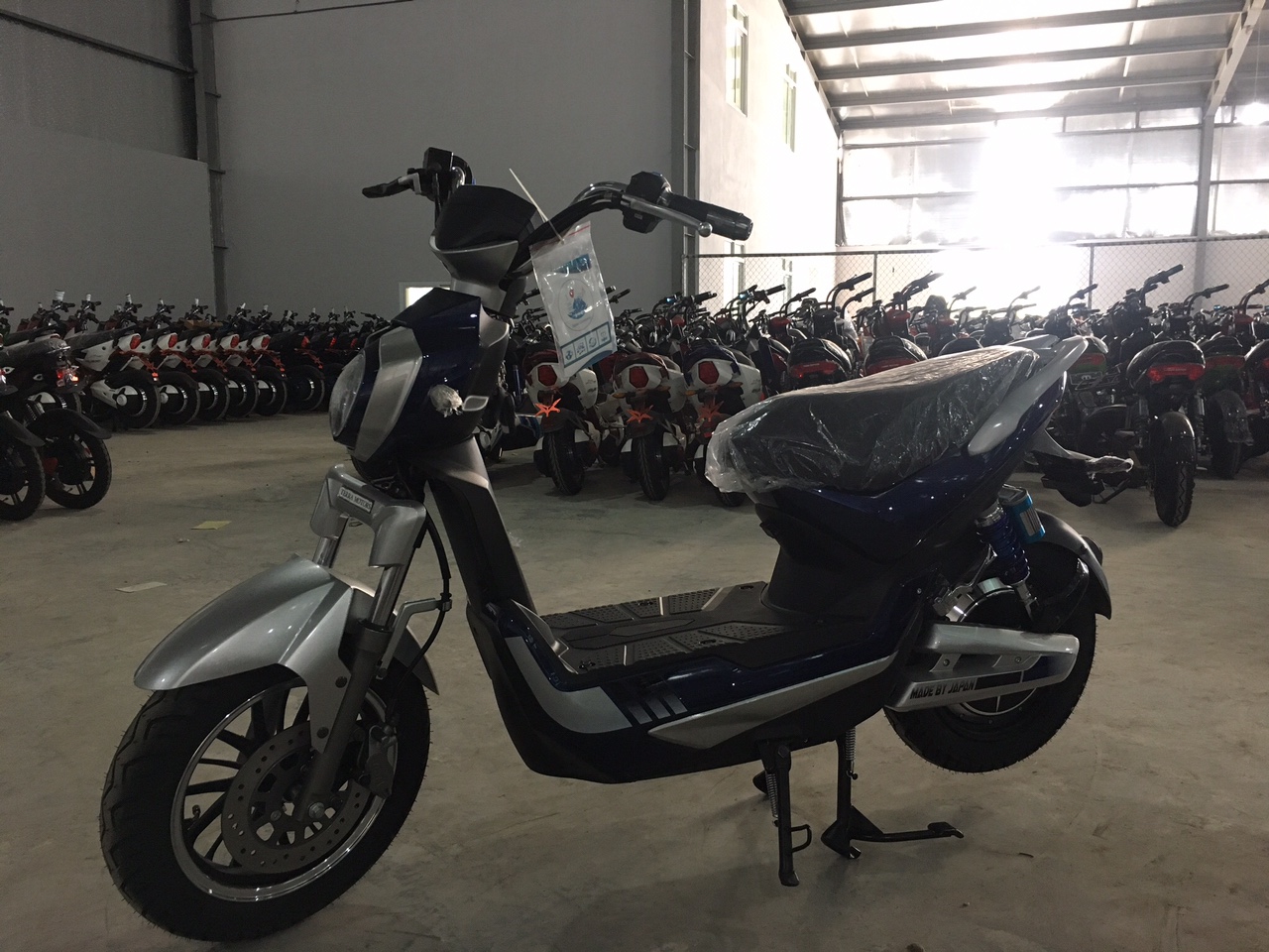xe điện terra d750