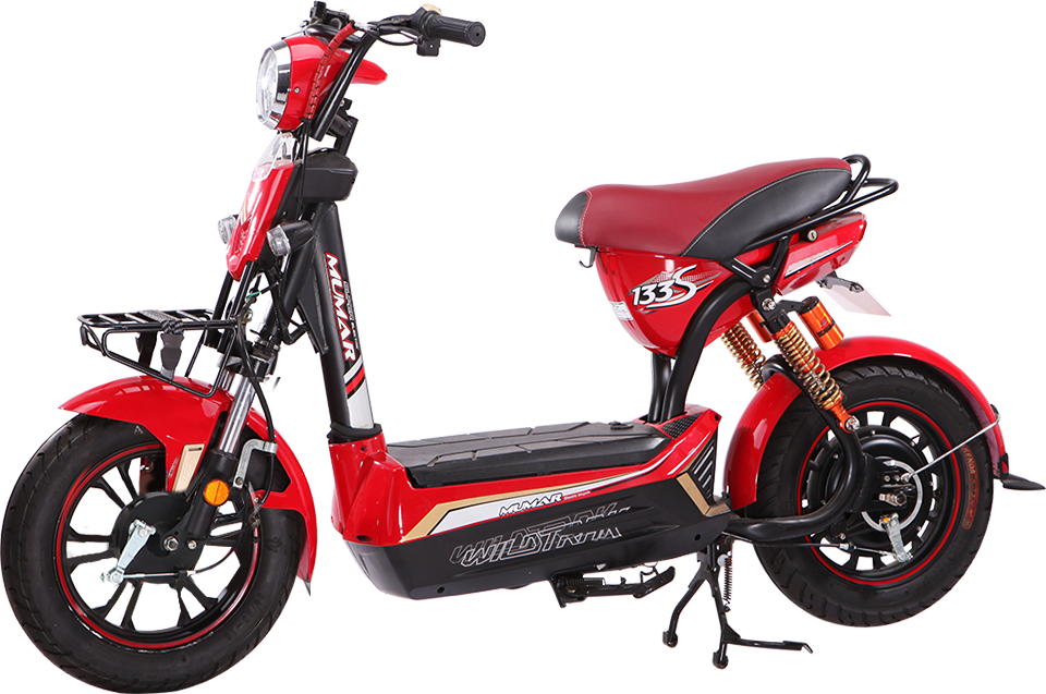 Xe điện Dkbike 133 phanh cơ