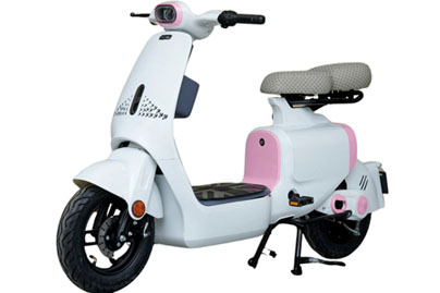Xe Đạp Điênk DK Bike S2 - 4 Bình 20Ah (Đầy Đủ Giấy Tờ)