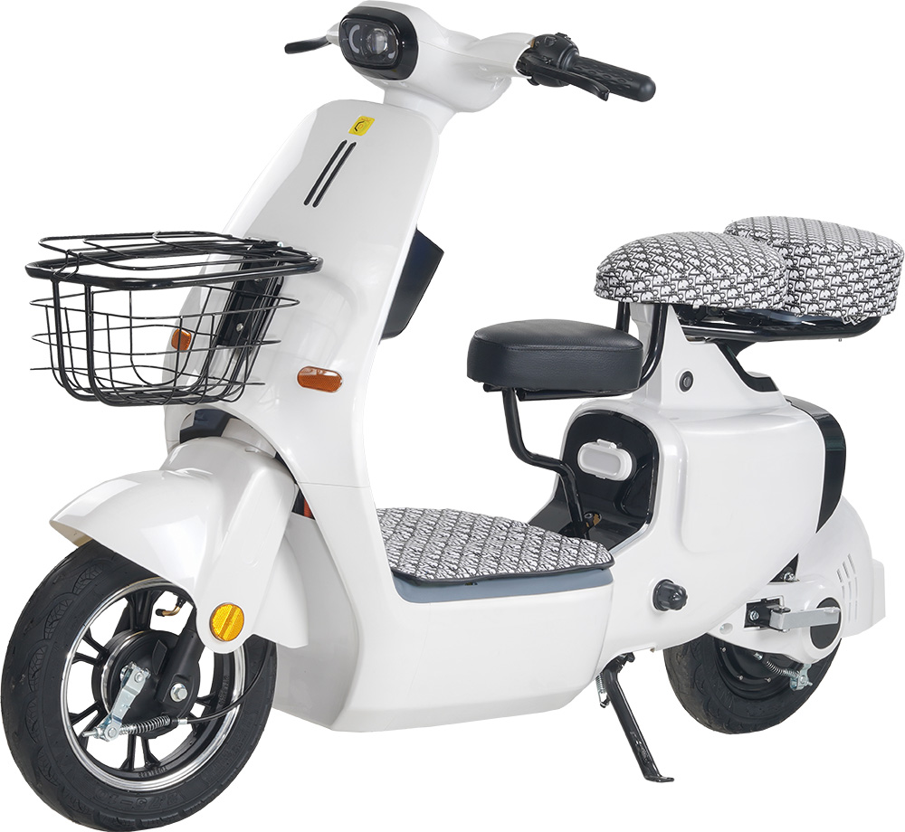 Xe Đạp Điện Dylexe VC K1 Đầy Đủ Giấy Tờ