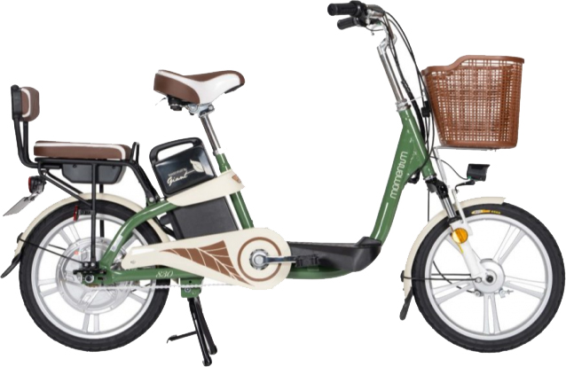 Xe Đạp Điện Giant L-830R