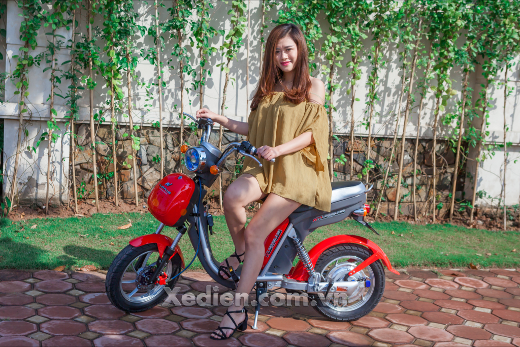 xe đạp điện ninja plus chính hãng