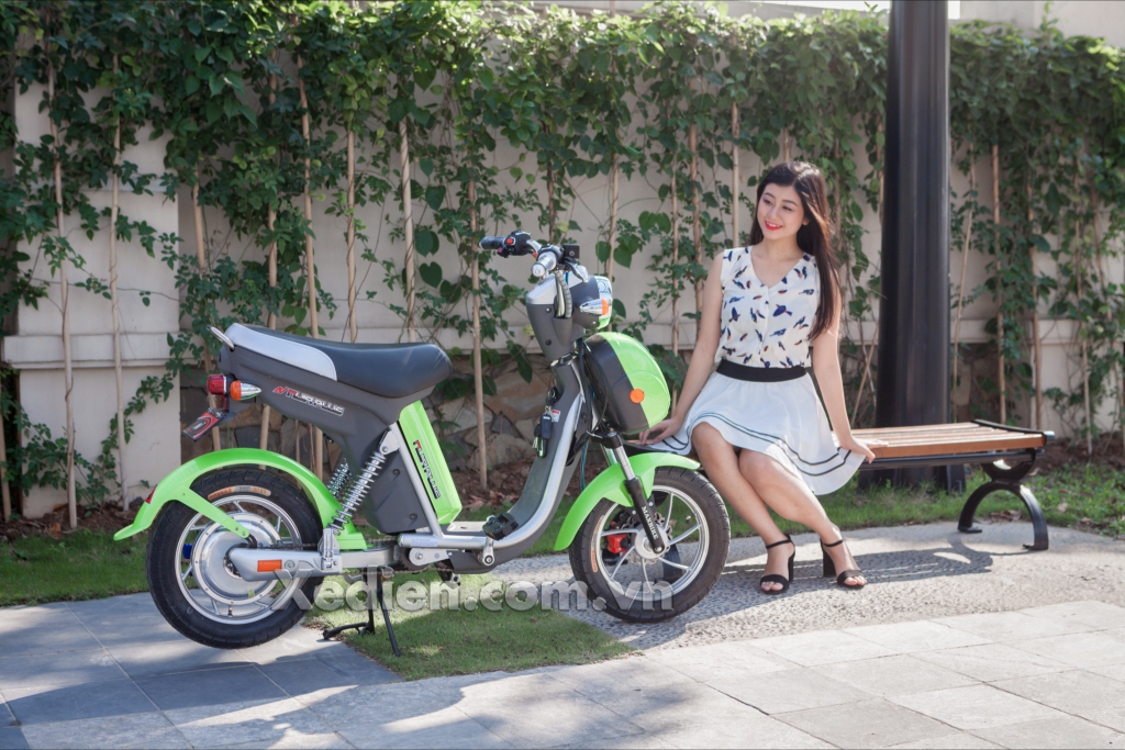 Xe điện Nijia Plus 2017