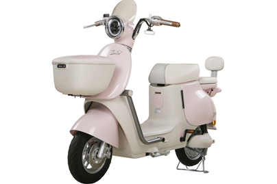 Xe Đạp Điện Tailg GR54