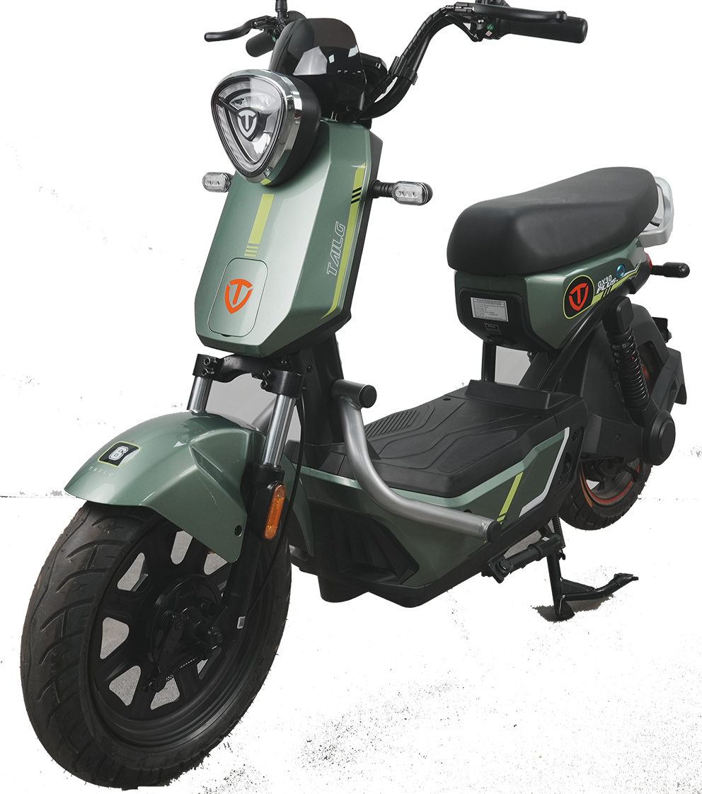 Xe Đạp Điện Tailg GX30 Xbull Chính Hãng (Đầy Đủ Giấy Tờ)