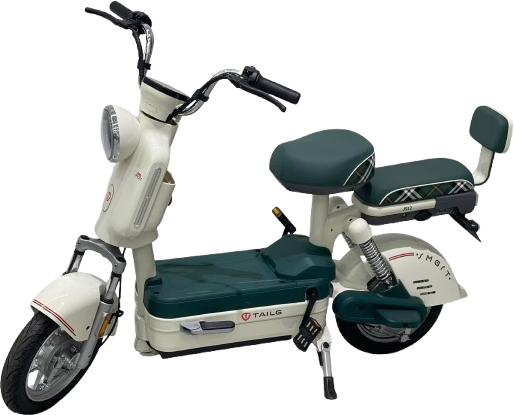Xe Đạp Điện Tailg Moka JS32 (Đầy Đủ Giấy Tờ)
