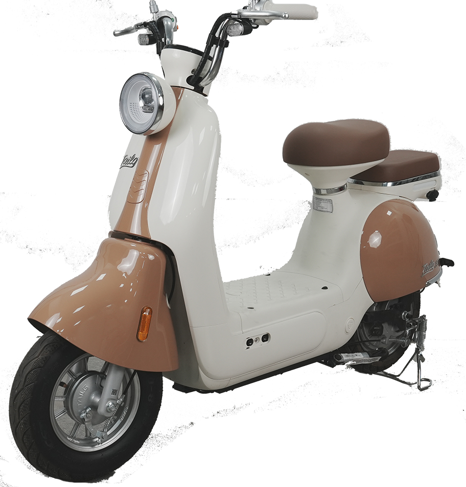 Xe Đạp Điện Tailg Princess JS50 (Đầy Đủ Giấy Tờ)
