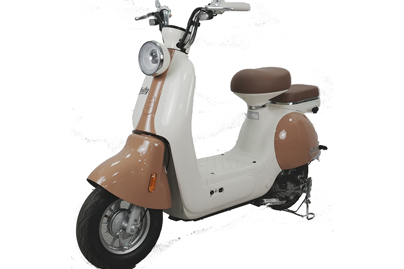 Xe Đạp Điện Tailg Princess JS50 (Đầy Đủ Giấy Tờ)