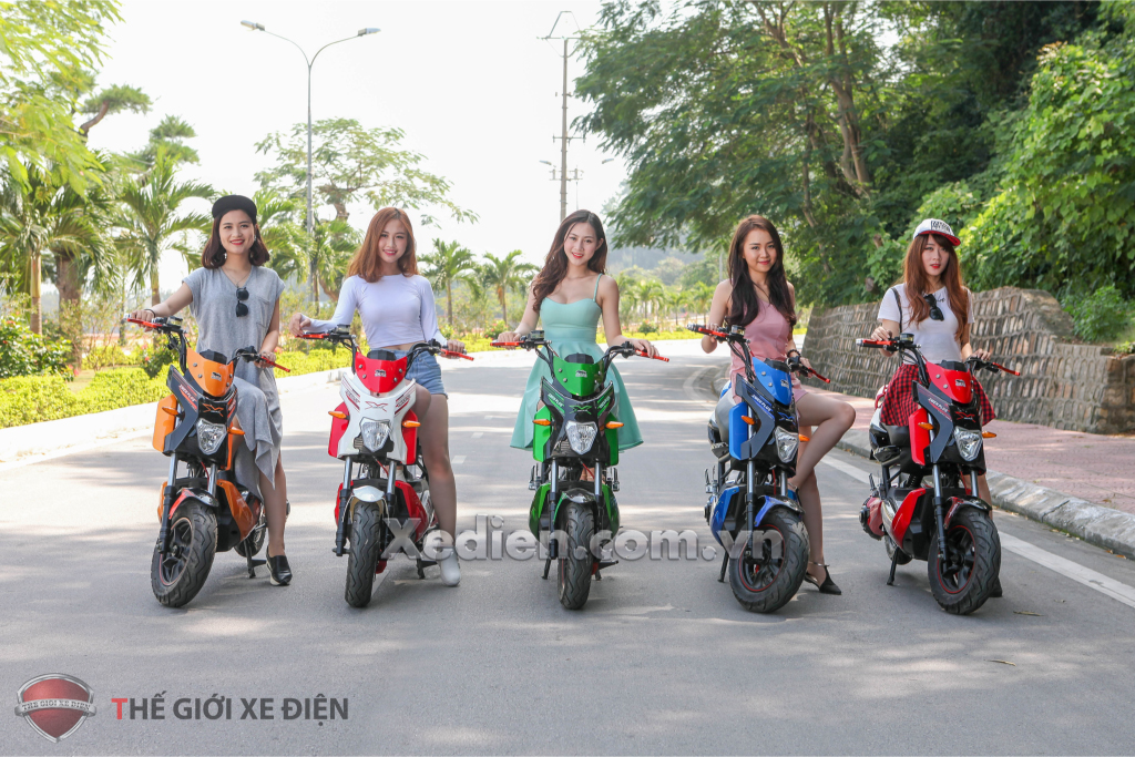 xe-dien-xman-dibao