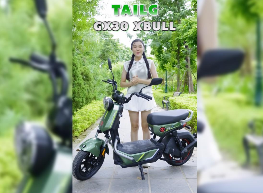 Xe Đạp Điện Tailg GX30 Xbull Chính Hãng Nhỏ Gọn Nhưng Đầy Mạnh Mẽ