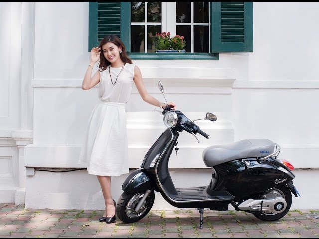 XE ĐIỆN VESPAS DIBAO 2016 - ANNYVERSARY 25TH LIMITER EDITION 2500EV 