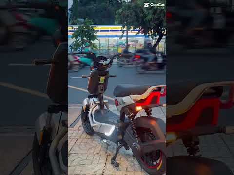 Hệ thống đèn của xe đạp điện Tailg GX30 Xbull