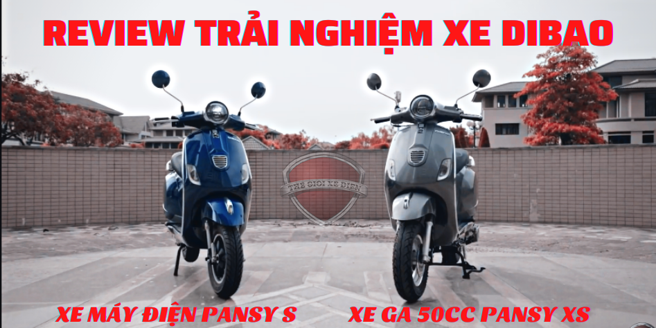 Review Trải Nghiệm Khi Lái Hai Chiếc Xe Pansy S và Pansy XS Của Dibao | Xedien.com.vn