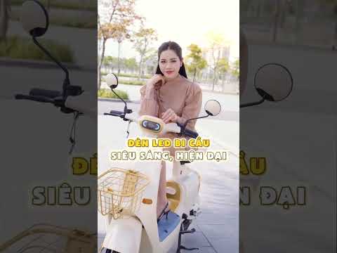 Xe Đạp Điện Dylexe VC K1 2025