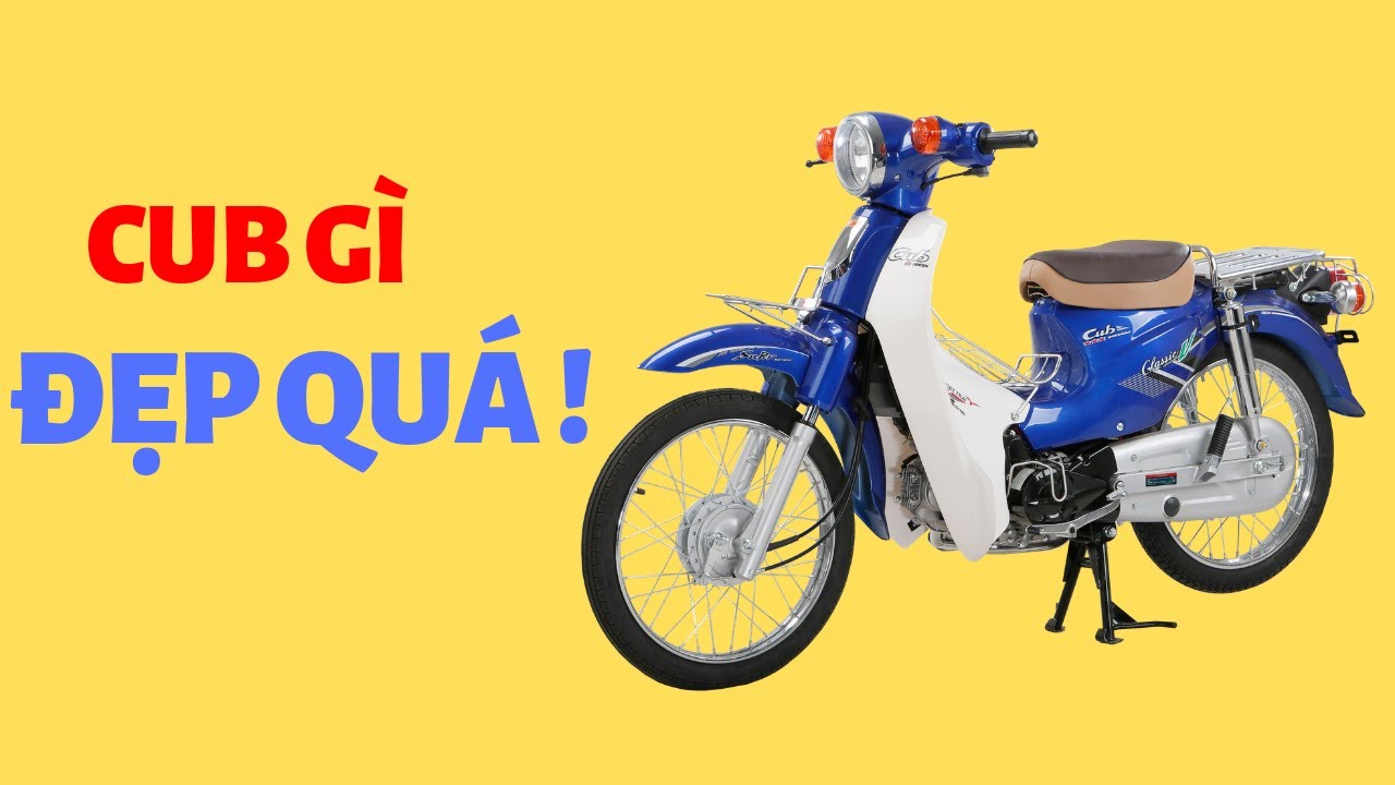 Xe Cub Cổ Điển Dành Cho Học Sinh - Xe Cub 81 Việt Thái | Xedien.com.vn