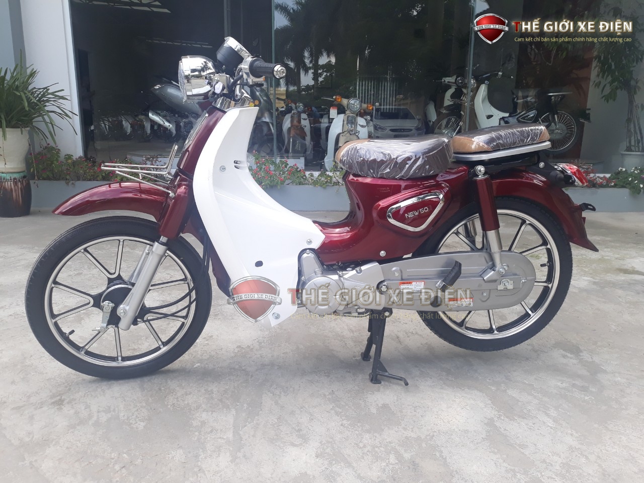 xe cub 50cc ally 2021