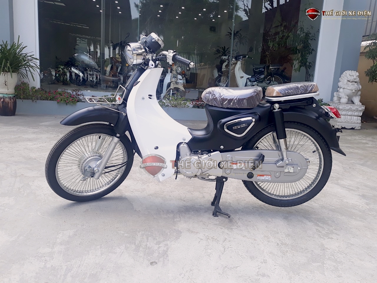 Xe máy 50cc Cub New Ally 2022