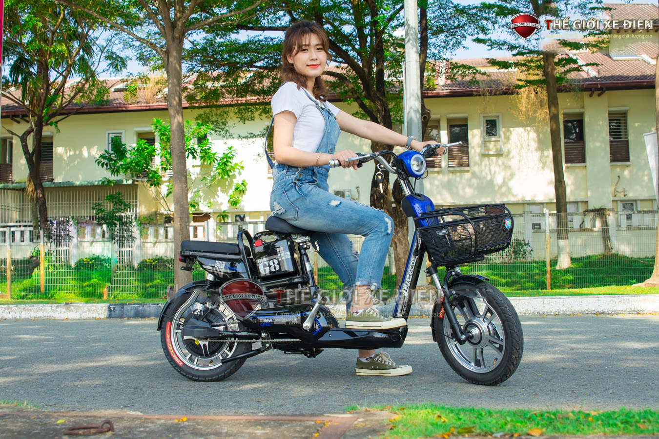 xe đạp điện JVC G8
