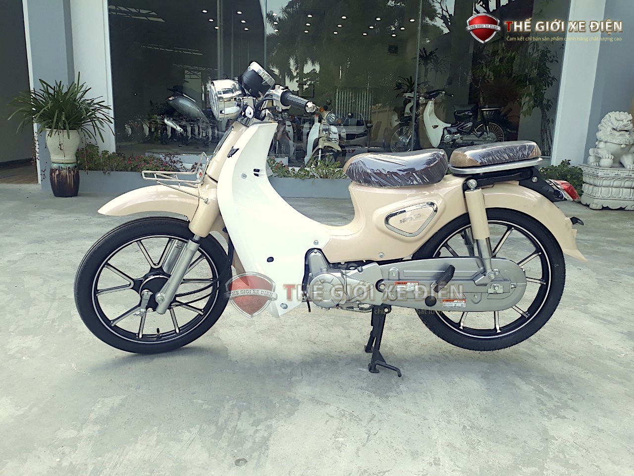 Xe Máy 50cc Cub New Ally 2020: Thiết Kế Phá Cách Hiện Đại
