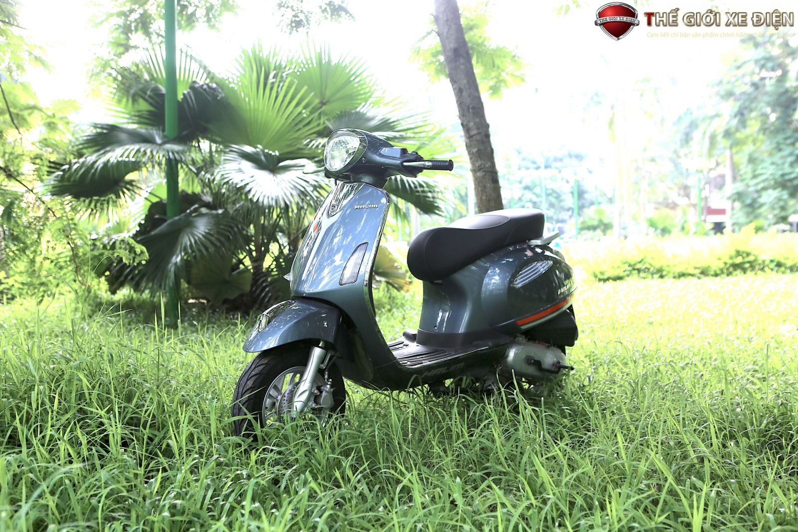 Vespa Halim 2020 – Chiếc Xe Máy 50cc Giá Rẻ Đáng Để Sở Hữu