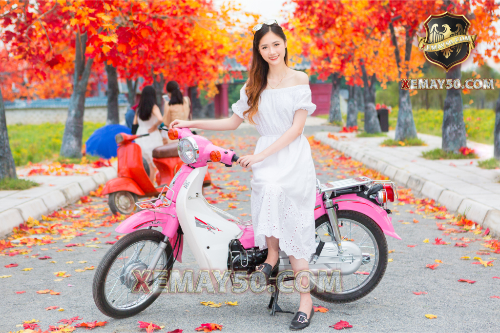 Các dòng xe Cub 50 phân khối chất lượng 2019