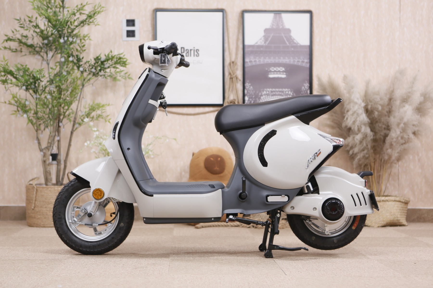 Xe điện học sinh cấp 2 BẮT BUỘC phải có bàn đạp, Dibao M1P có cả bàn đạp trợ lực