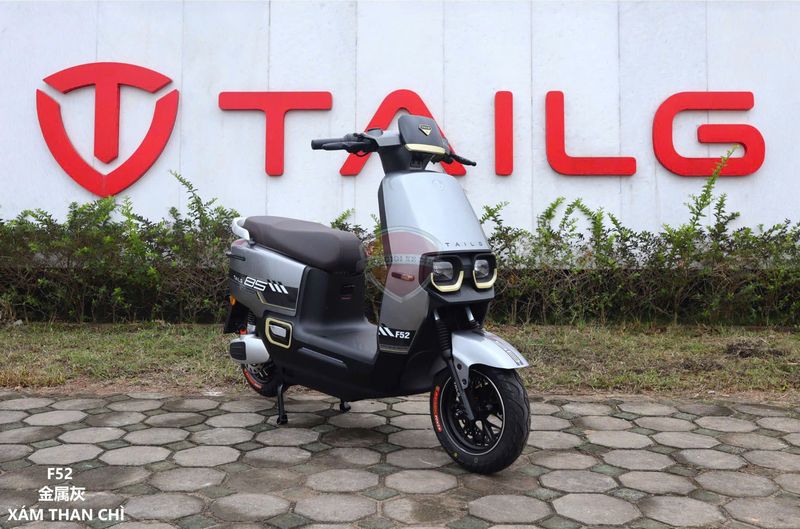 Những Dòng Xe Máy Điện Tailg Được Ưa Chuộng Tại Việt Nam