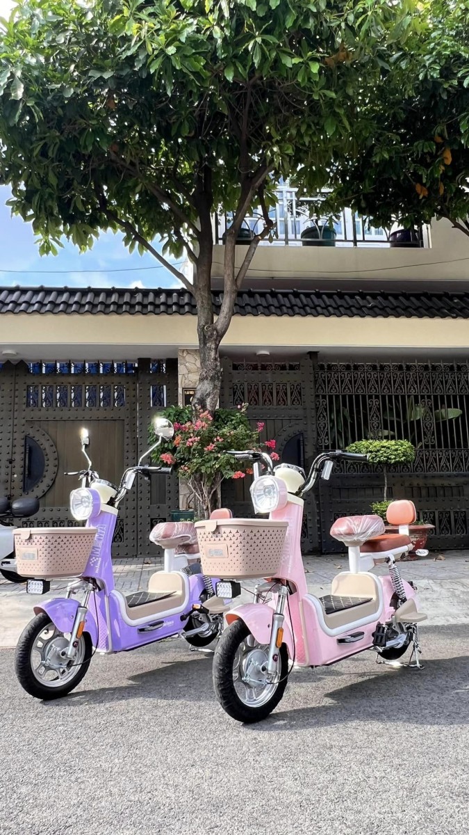 4 dòng xe đạp điện Hot nhất 2024 dành cho nữ giới