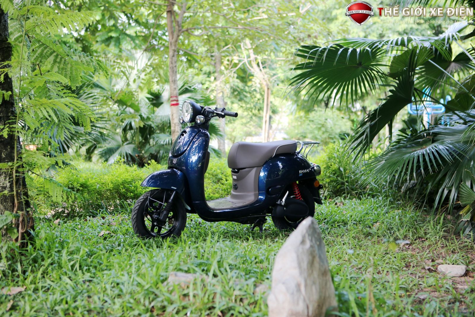 Mua xe máy điện Honda chất lượng cao với giá 19 triệu đồng