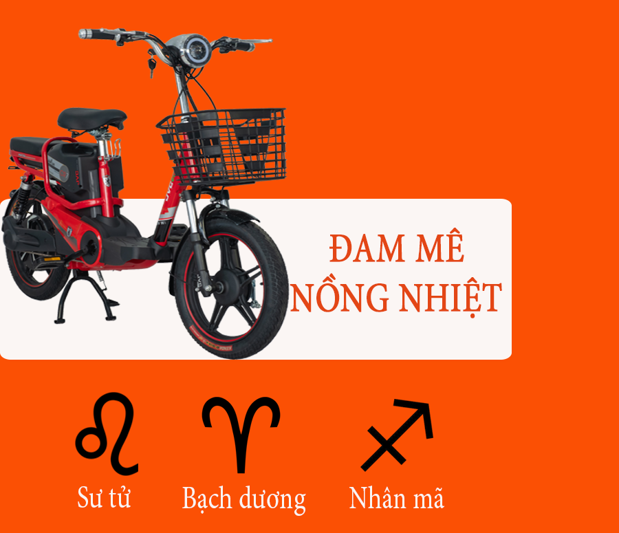 Xe đạp điện nào bán chạy nhất và đáng mua nhất năm 2020
