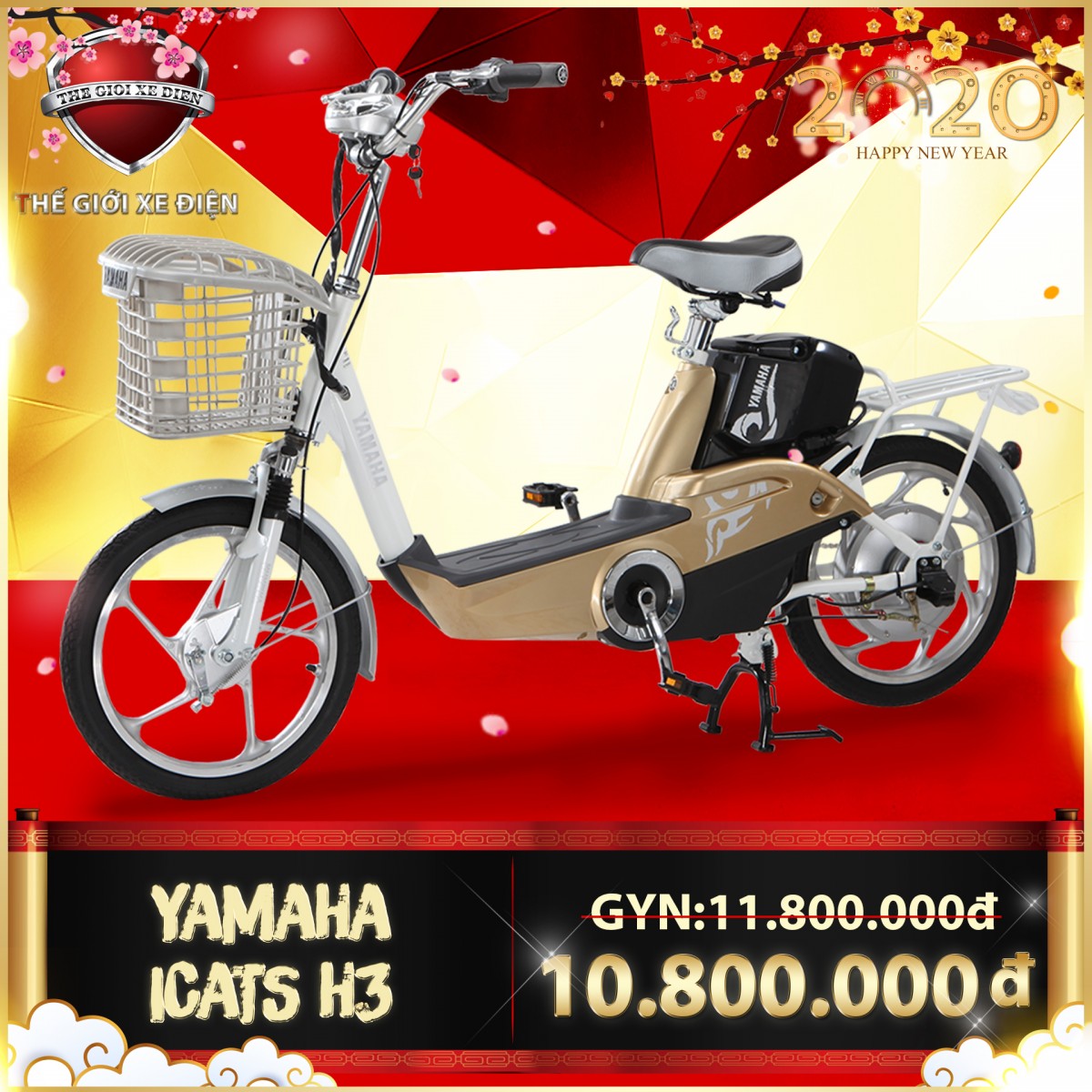 Tư vấn mua xe đạp điện đi du xuân CANH TÝ 2020 || Thế Giới Xe Điện